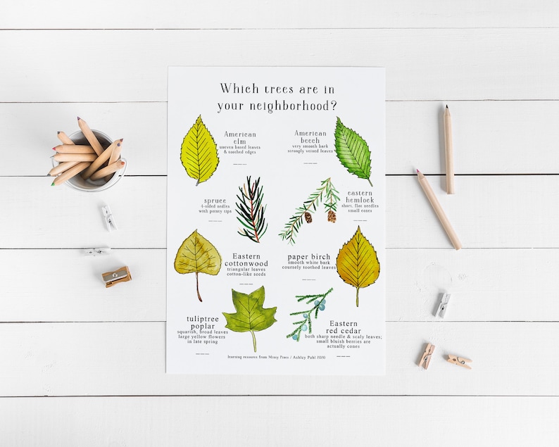 Printable Leaf Scavenger Hunt Worksheets Home Schooling | Etsy