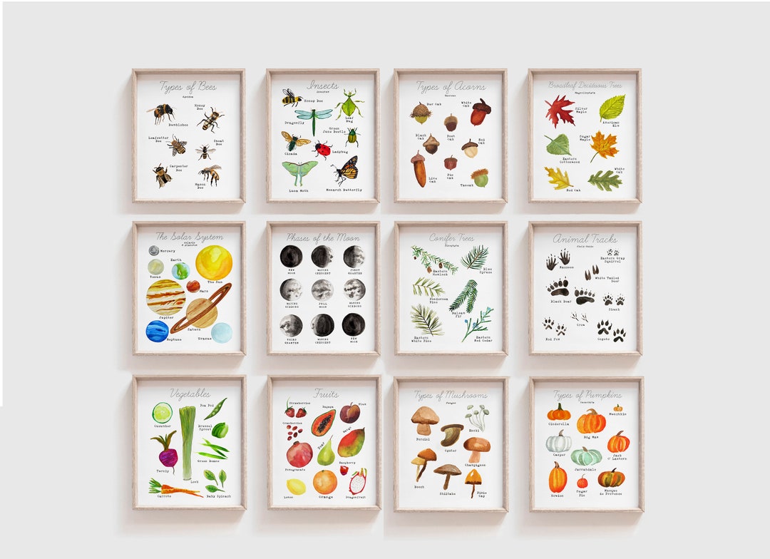 5 X 7 Size - at Home Learning Printables Set of 12 - Wall Art for ...