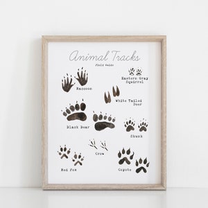 May include: A framed print with a black and white illustration of animal tracks. The print includes the names of the animals, such as raccoon, black bear, red fox, crow, eastern gray squirrel, white-tailed deer, skunk, and coyote.