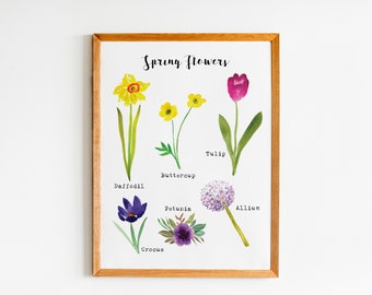 Impresión de arte de flores de primavera imprimible - Arte de pared educativo para educación en el hogar o preescolar - Arte de pared floral