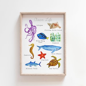 May include: A watercolor illustration of various ocean life, including an octopus, a blue tang fish, a seahorse, a starfish, a blue whale, a bluefin tuna, a sea turtle, a Florida horse conch, and seaweed. The illustration is framed in a light wood frame and has the title "Ocean Life" at the top.