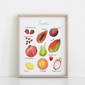 May include: A watercolor illustration of various fruits, including strawberries, cranberries, pomegranate, papaya, pear, mango, plum, raspberry, dragonfruit, lemon, and orange. The illustration is titled "Fruits".