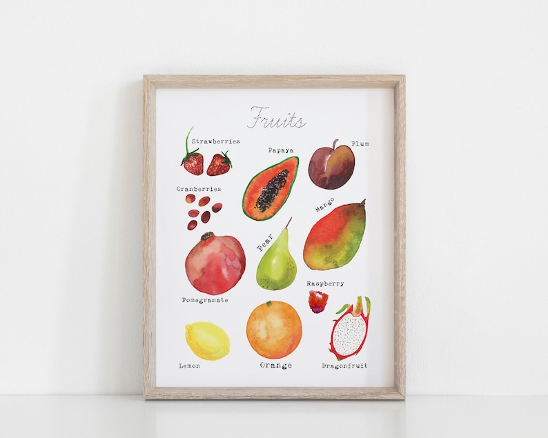 May include: A watercolor illustration of various fruits, including strawberries, cranberries, pomegranate, papaya, pear, mango, plum, raspberry, dragonfruit, lemon, and orange. The illustration is titled "Fruits".