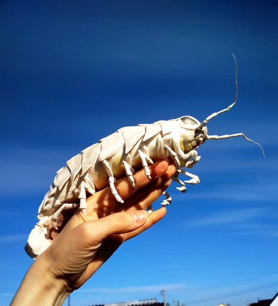 giant isopod toy