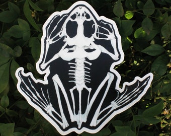Op de afbeelding: Een gestanste sticker met het witte skelet van een kikker tegen een effen zwarte achtergrond. Het ontwerp toont de gedetailleerde anatomie van de schedel, ruggengraat en ledematen van het amfibie in een contrastrijke grafische illustratiestijl.