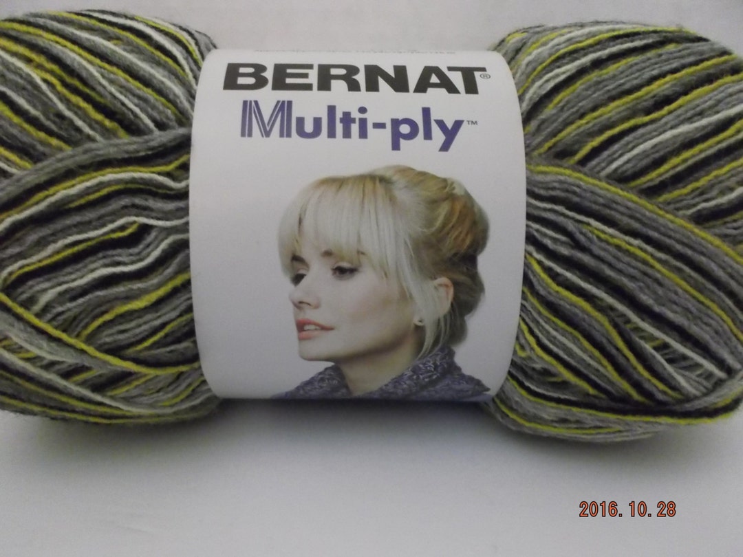 Bernat Multiply Yarn Highway 5 Bulky 3.5 Oz/100 Grams Etsy