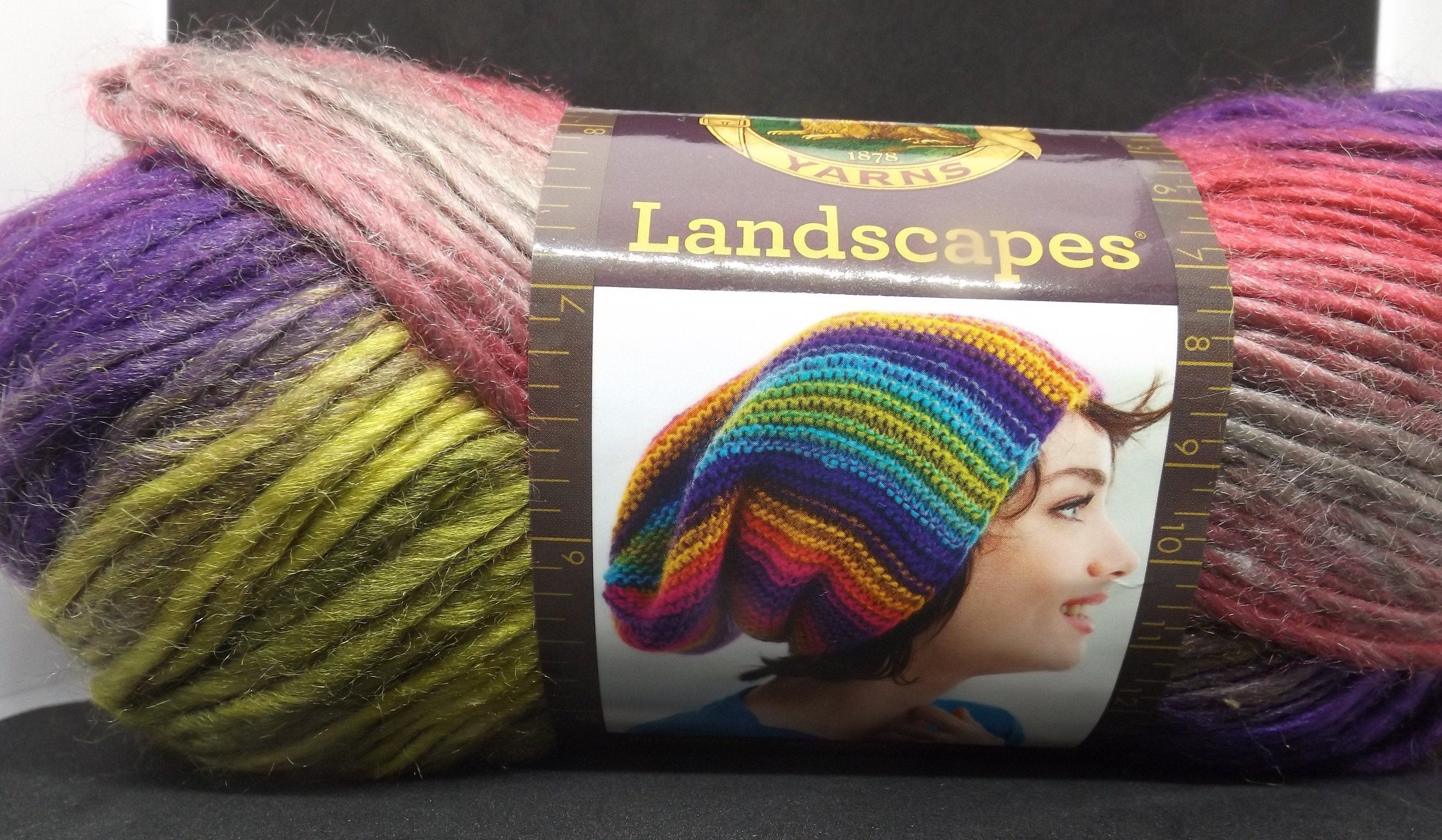 Lion Brand Landscapes Yarn 210 RainForest 3.5 oz/100 Etsy