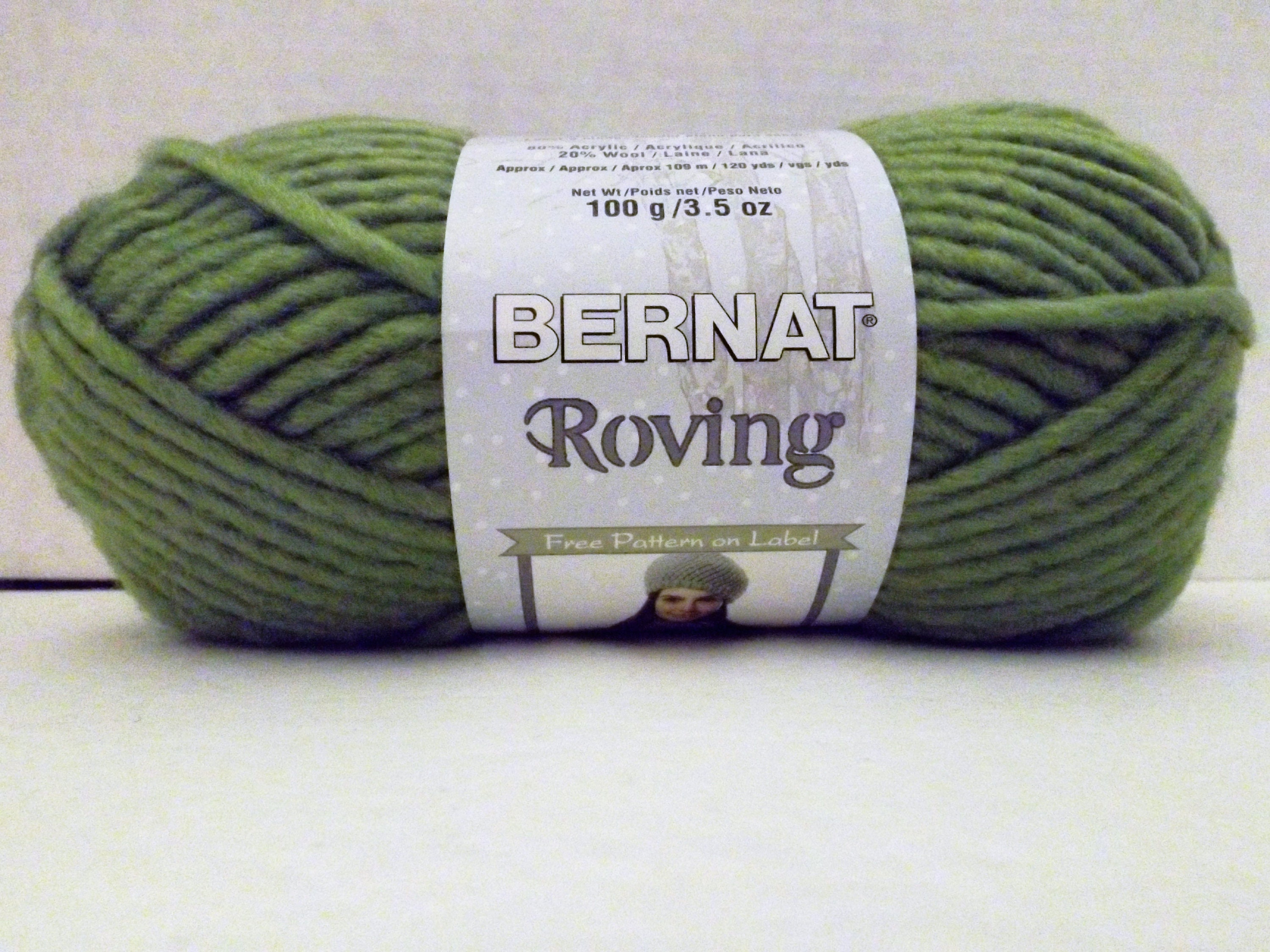 Bernat Roving Yarn 