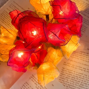 May include: A string of fairy lights with red and yellow paper flower shades. The lights are strung together and are lit up, creating a warm and inviting glow.