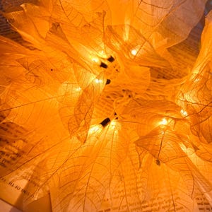 May include: Close-up of a decorative light fixture made of translucent, orange-toned leaves. Tiny lights are visible within the leaves, creating a warm glow. The leaves are arranged around a central point, resting on open pages of a book.