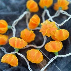 Puede incluir: Una cadena de luces naranjas con forma de calabaza con un cable blanco. Las luces están hechas de un material de malla y están enhebradas juntas en un patrón decorativo.