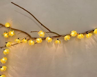 May include: A string of fairy lights with yellow paper flower-shaped bulbs, strung along a branch.