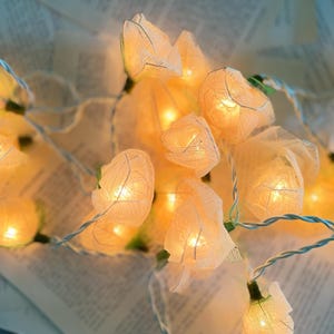 May include: A string of warm white fairy lights with paper lantern-style shades. The lights are arranged on a thin, twisted wire, and the shades are a soft, off-white color. The lights are glowing, creating a cozy ambiance.