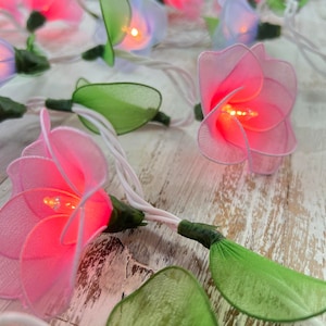 May include: String of fairy lights with pink and green flower-shaped fabric covers. The lights are lit and glowing.