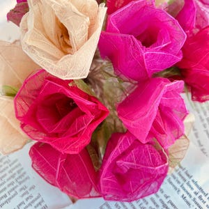 May include: A bouquet of handmade paper flowers in shades of pink and cream. The delicate blooms are arranged on a background of printed paper, creating a soft and artistic display. The flowers have a detailed, veined texture.