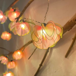 Può includere: Stringa di luci decorative con paralumi a forma di fiore rosa e giallo. Le luci sono infilate su un filo d'argento e attaccate a un ramo marrone. Le luci illuminate creano un bagliore caldo.