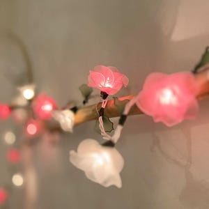 May include: A string of fairy lights with pink and white flower-shaped bulbs. The lights are strung on a wire and are lit up, creating a warm and inviting glow.