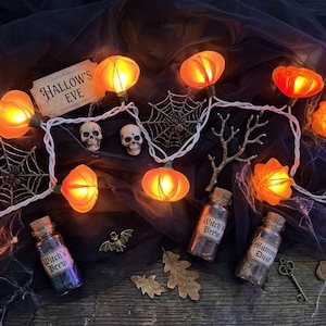 May include: A string of orange pumpkin-shaped LED lights with white wiring, two small skulls, two glass bottles labeled Witch's Brew and Mummy Dust, a tag reading HALLOW'S EVE, two spider webs, a metal bat, a key, and two dried oak leaves.