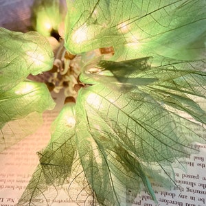 May include: A decorative light fixture made of delicate, translucent green leaves with small, warm white lights strung throughout. The leaves are arranged in a circular pattern, creating a whimsical and ethereal glow.