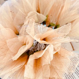 May include: A bouquet of dried, delicate, light brown leaves arranged in a vase. The leaves are translucent and have a delicate, papery texture.
