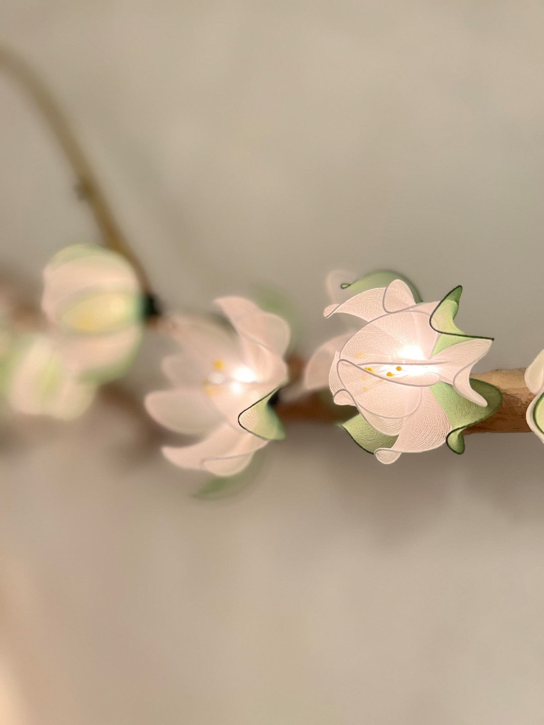 Lotus Light String White Lotus String Lights Party and Decoration: 20 Bulbs Warm Fairy ...