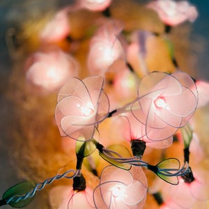 May include: A string of fairy lights with pink flower-shaped bulbs. The lights are strung together with a thin wire and have a warm white glow.
