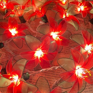 May include: String of fairy lights with red and green flower-shaped bulbs. The lights are strung on a white wire and are lit up.