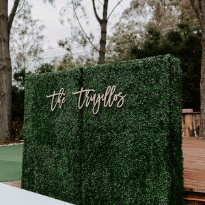 May include: A green artificial hedge backdrop with the text "the tryillos" in brown wooden letters.