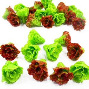 10 Dollhouse Red Lettuce Salad Miniature Green Lettuce Salad Dollhouse Vegetable 1:6 Dollhouse Food Handmade Supply Miniature Charms 15458