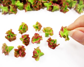 Lot 50 Puppenhaus Puppenhaus Roter Salat: 1/12 Miniature Clay Salat Gemüse Anhänger