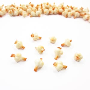 Lot 10 Miniature Garlic Vegetable: Clay Dollhouse Food, Jewelry Charms