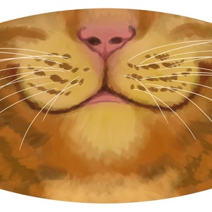 May include: Close-up of a cat's face, showing its nose, whiskers, and mouth. The cat has orange and brown fur.