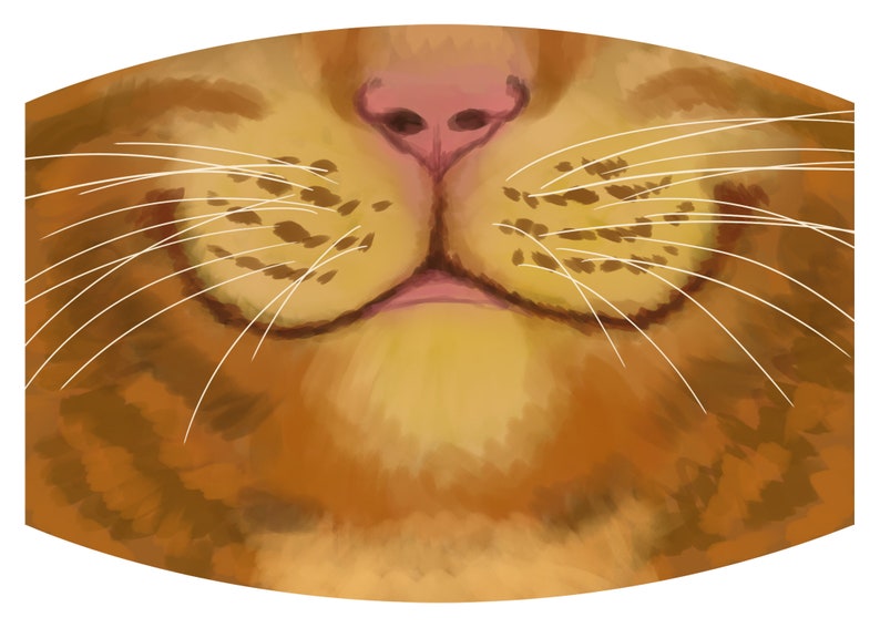 May include: Close-up of a cat's face, showing its nose, whiskers, and mouth. The cat has orange and brown fur.