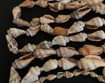 Vintage Seashell Necklace Bundle, Cowrie Shells, Beach Wedding Decor
