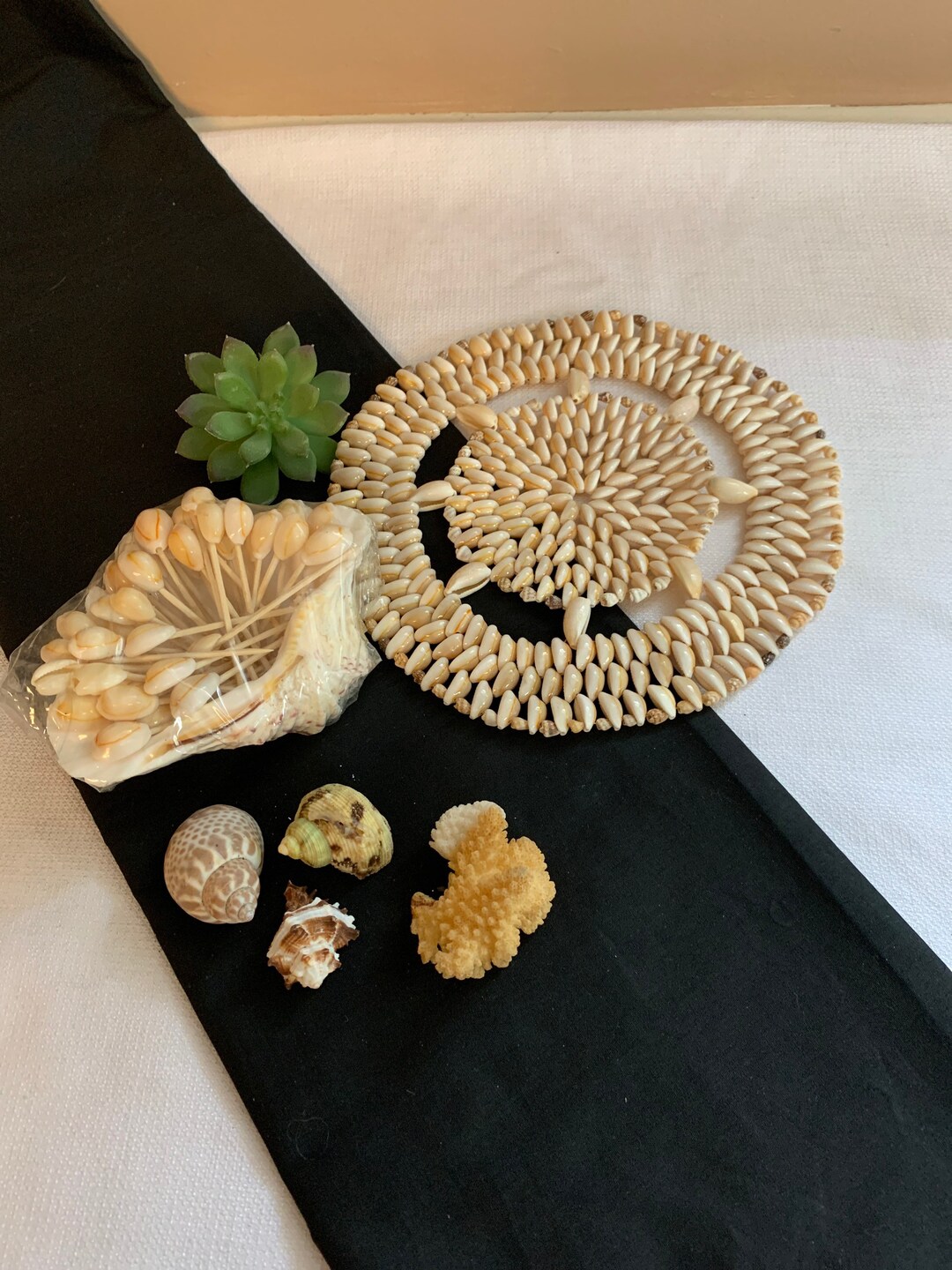 Real Seashell Trivet Vintage NOS Toothpicks Cowrie Shell Etsy