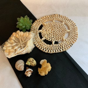 Puede incluir: Una colección de conchas marinas, que incluye una gran estera circular de conchas, un grupo de pequeñas conchas blancas y varias conchas individuales. Las conchas están dispuestas sobre una superficie blanca y negra.