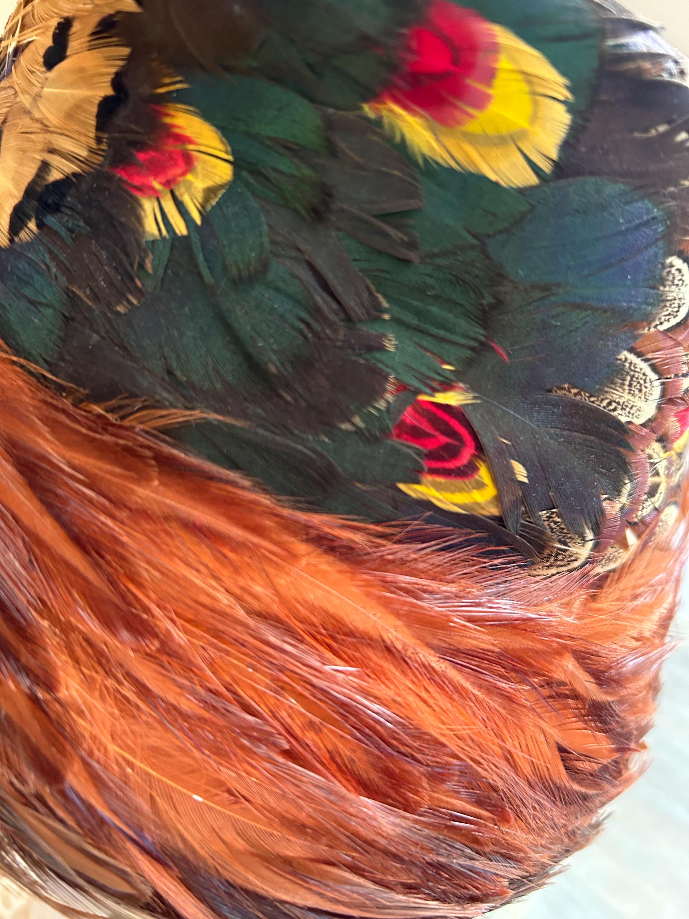 Pheasant Feather Hat / MCM High Fashion or Costume Hat of Black & Brown Feathers Vintage Feather Hat, MCM Women main image 4