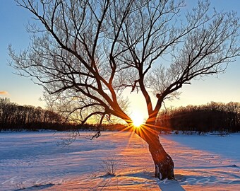 Winter's Sunset - Kensington Metro Park, Milford