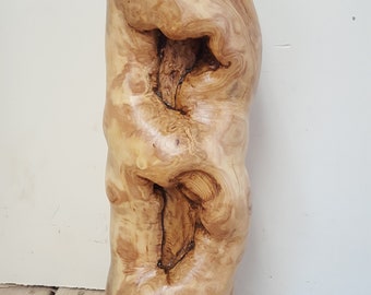 Rustic Wood Lamp/Distressed Log Lamp/Bedroom or Living Room Lamp/Table Lamp