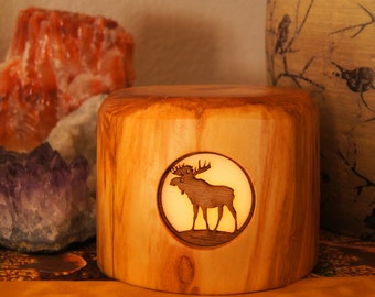Moose light/Rustic Accent Light/Rustic Night Light/Night Light/Moose Night Light/Affordable Gift