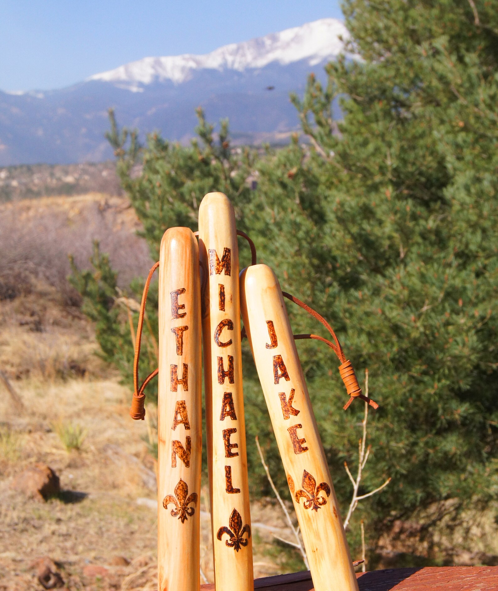 Boy Scout Stick/ Boy Scout Staff/ Boy Scout Walking Stick/ Boy Etsy