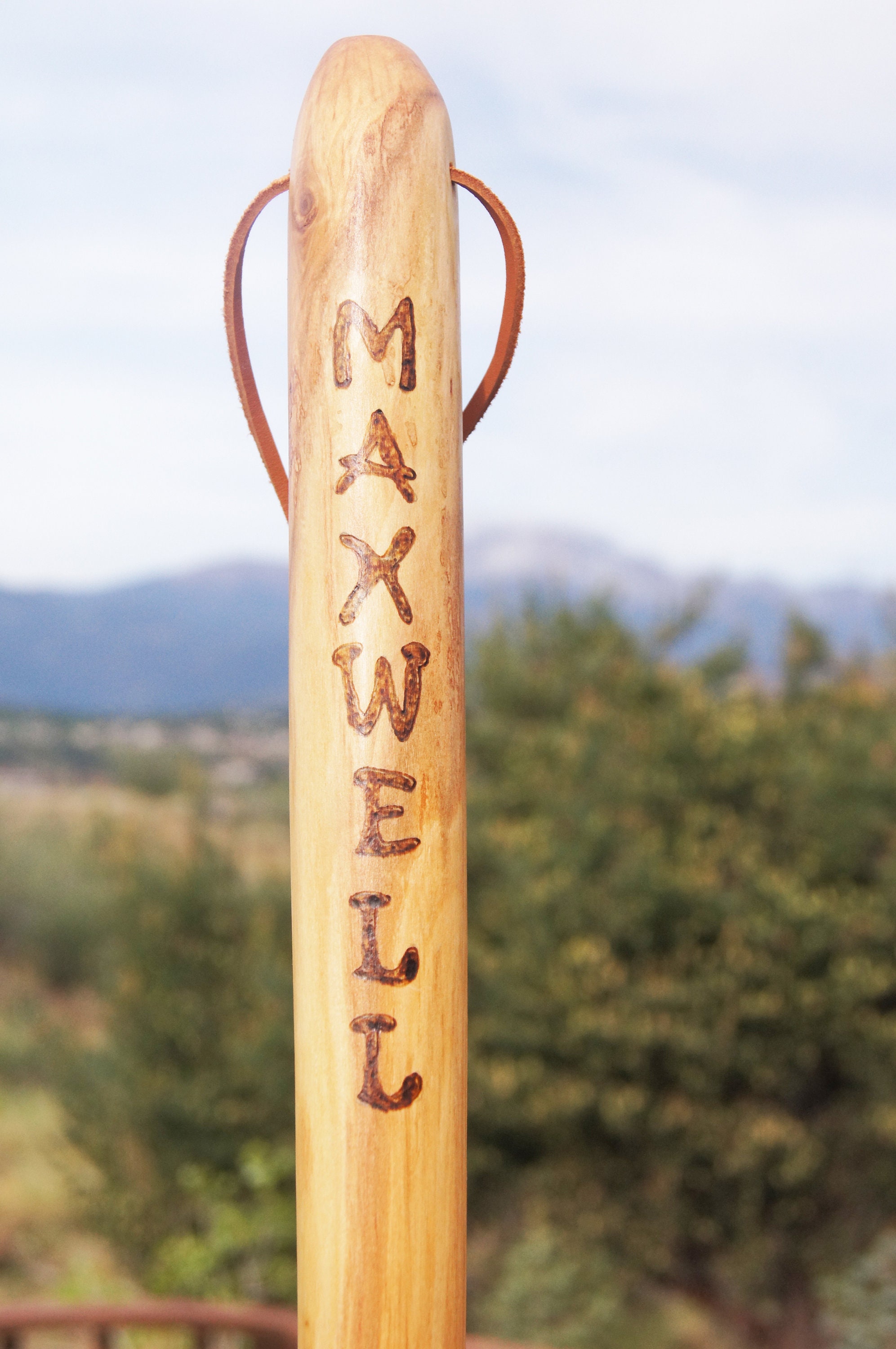 Personalized Hiking Stick/Hiking Stick/Gift for Him/ Walking | Etsy