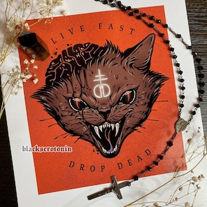Puede incluir: Un fondo rojo con una ilustración en blanco y negro de un gato con un cerebro que se derrama de su cabeza. El gato tiene una cruz con un círculo alrededor en su frente. El texto "LIVE FAST DROP DEAD" está escrito debajo del gato. El texto "blackserotonin" está escrito debajo del texto.