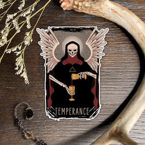May include: A tarot card illustration of Temperance, the 14th card in the Major Arcana. The card features a skeletal figure with wings pouring liquid from one chalice to another. The figure is wearing a black robe with a red trim and a gold halo. The card is titled "TEMPERANCE" and has the Roman numeral XIV in the top right corner.