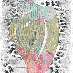 May include: Abstract seashell design in shades of teal, pink, and green, with a textured, distressed background. The seashell is the focal point, featuring a layered, artistic style. The background has a black and white wood grain pattern.