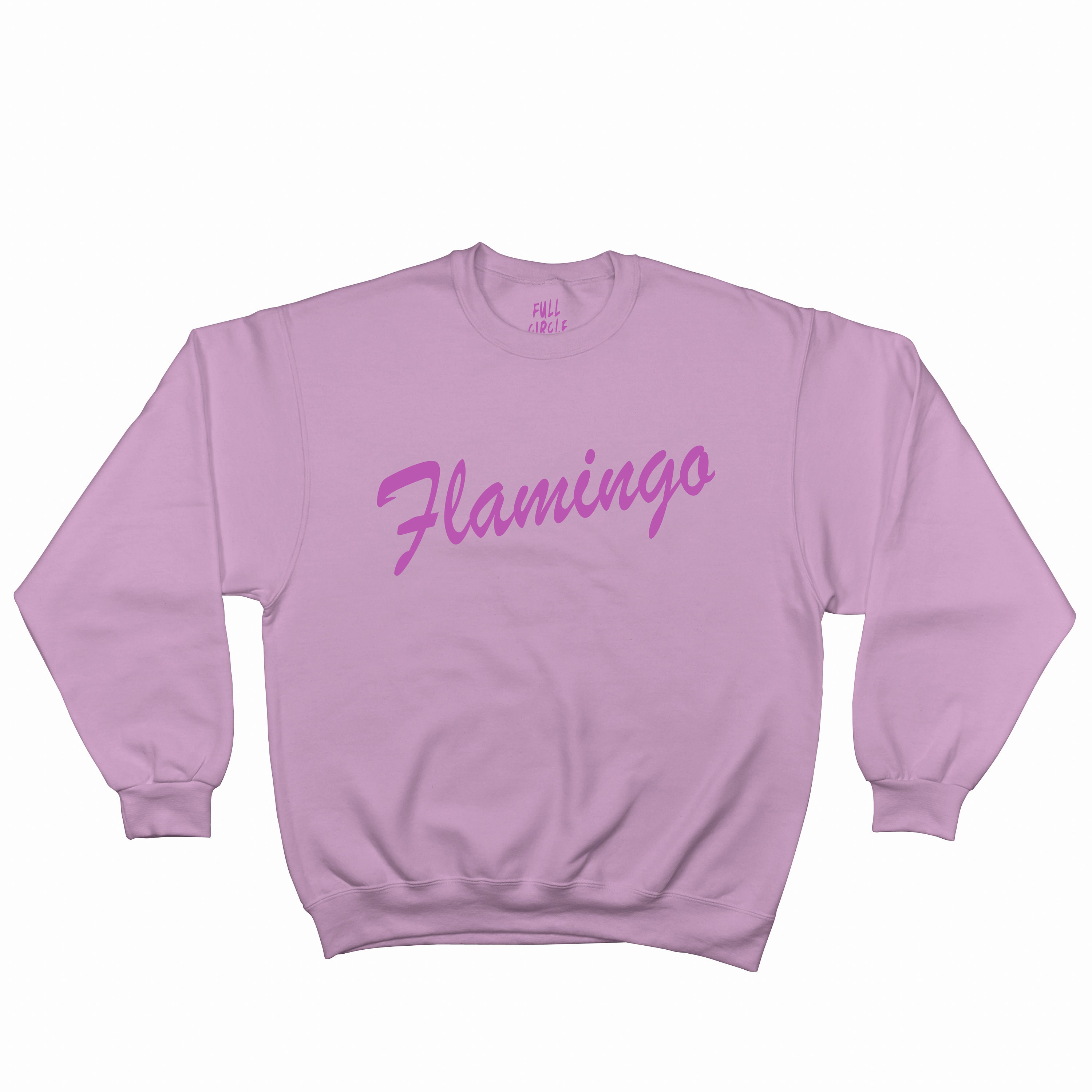 Flamingo Sweatshirt / Oversized / Cute 