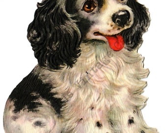 Spaniel black/white Puppy Dog Double Sided Adorable Vintage Greeting Card Digital Download Image