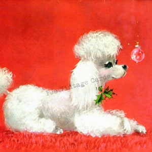 Imagem de cartão de Natal vintage de meados do século MCM adorável cachorro poodle branco fundo vermelho ornamento azevinho download digital