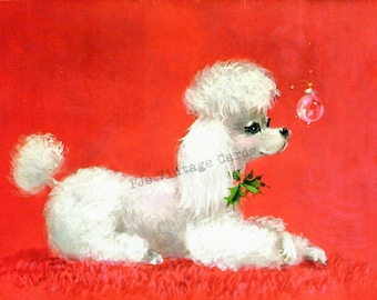 May include: A white poodle with a green holly sprig around its neck looks at a pink Christmas ornament on a red background.