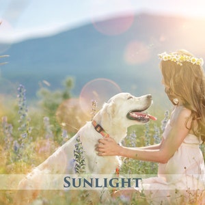 Sunlight Photo Overlays, Sunshine Overlays, Light Photo Overlays, Bokeh, Spring overlays, Light overlays, Toning overlays, Bokeh overlay